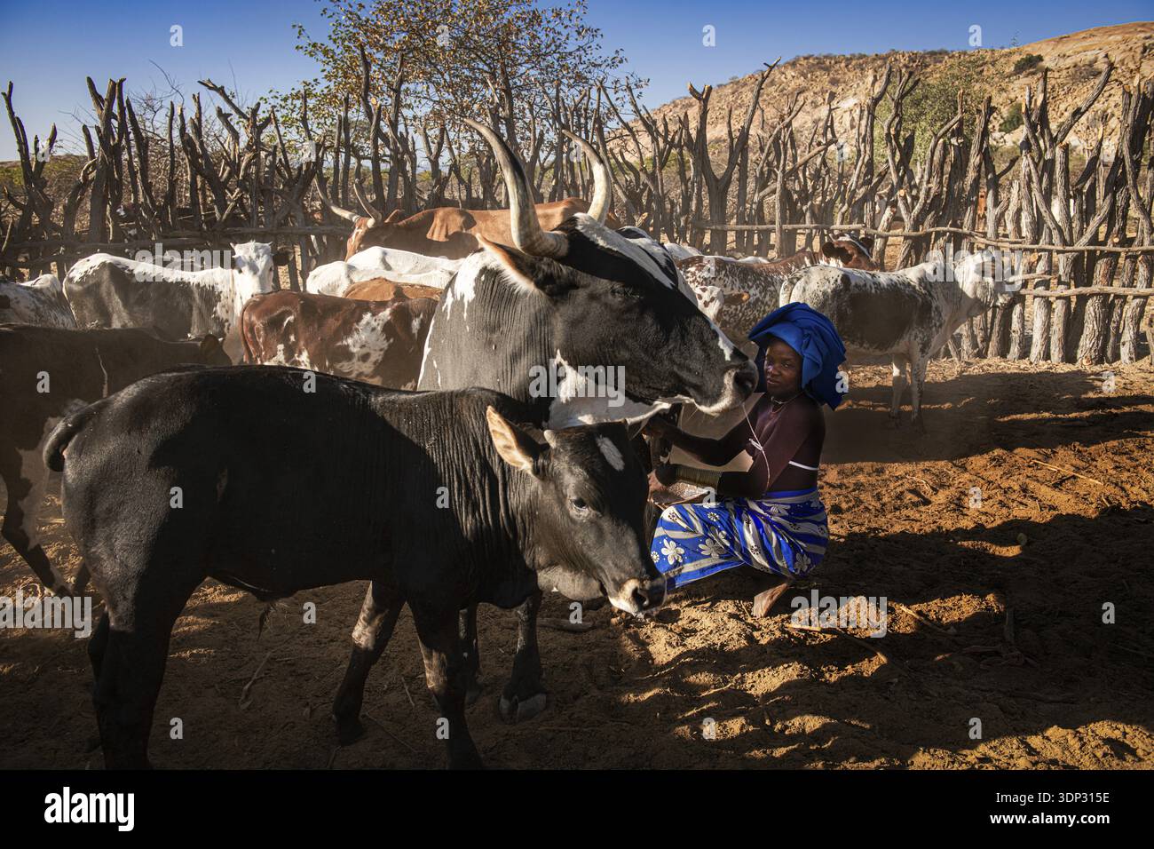 Angola agriculture hi-res stock photography and images - Alamy