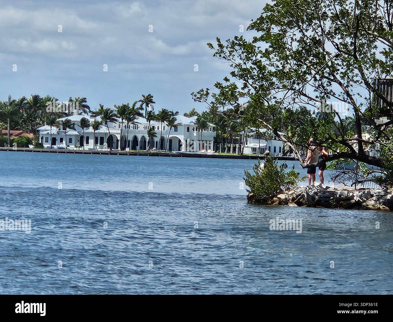 EDITORIAL USE ONLY- HOLLYWOOD BEACH FLORIDA: A large, white luxury Mediterranean-style mansion situated on the Intracoastal Waterway in Florida. The sprawling estate features arched windows and is surrounded by lush palm trees under a bright sky, with a small rocky point in the foreground. - Smartphone Captured Stock Image