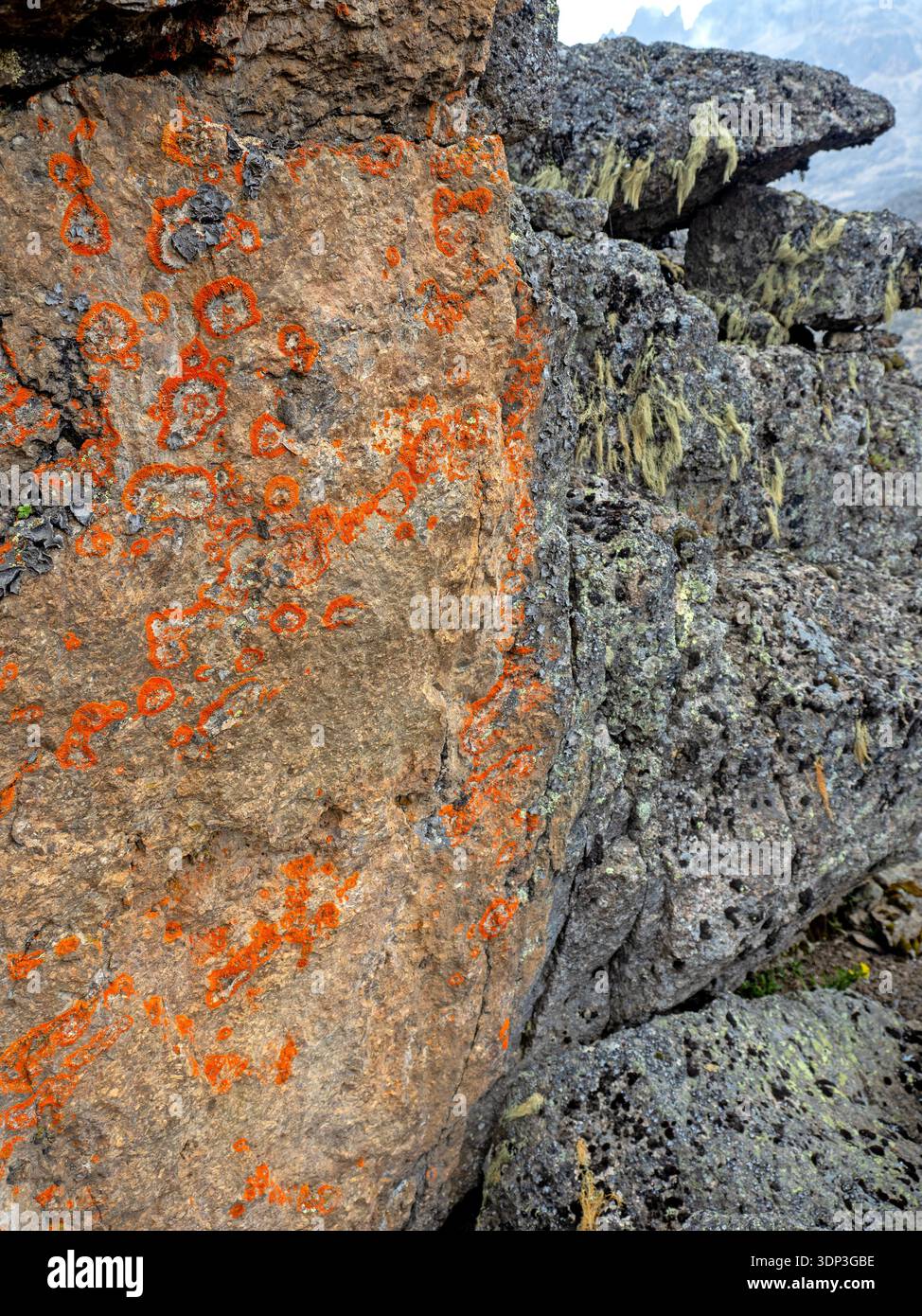 Lichen patterns on rock by Simba Tarn, Mt Kenya Stock Photo - Alamy