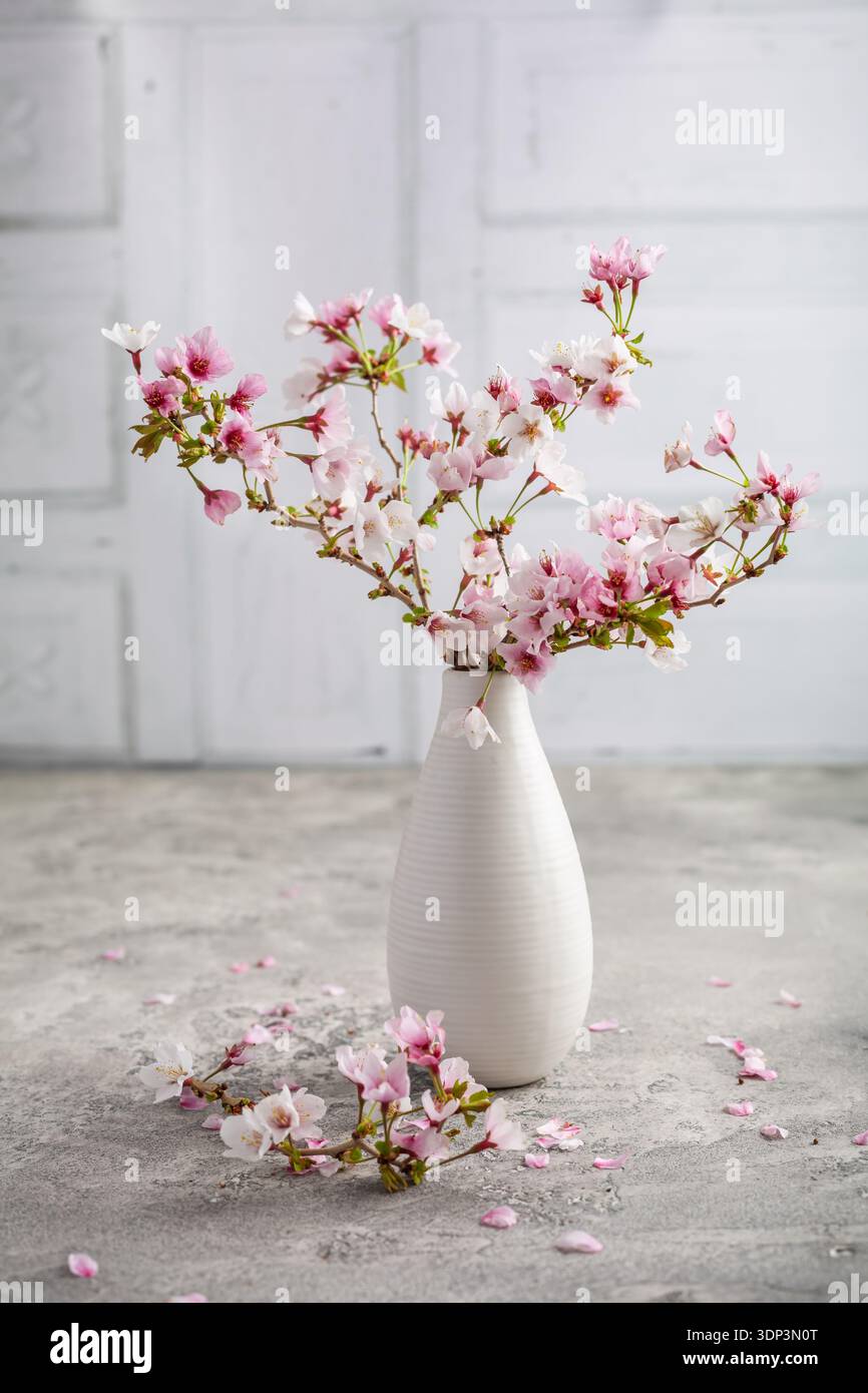Vase with cherry blossoms on kitchen table, sprintime concept Stock Photo