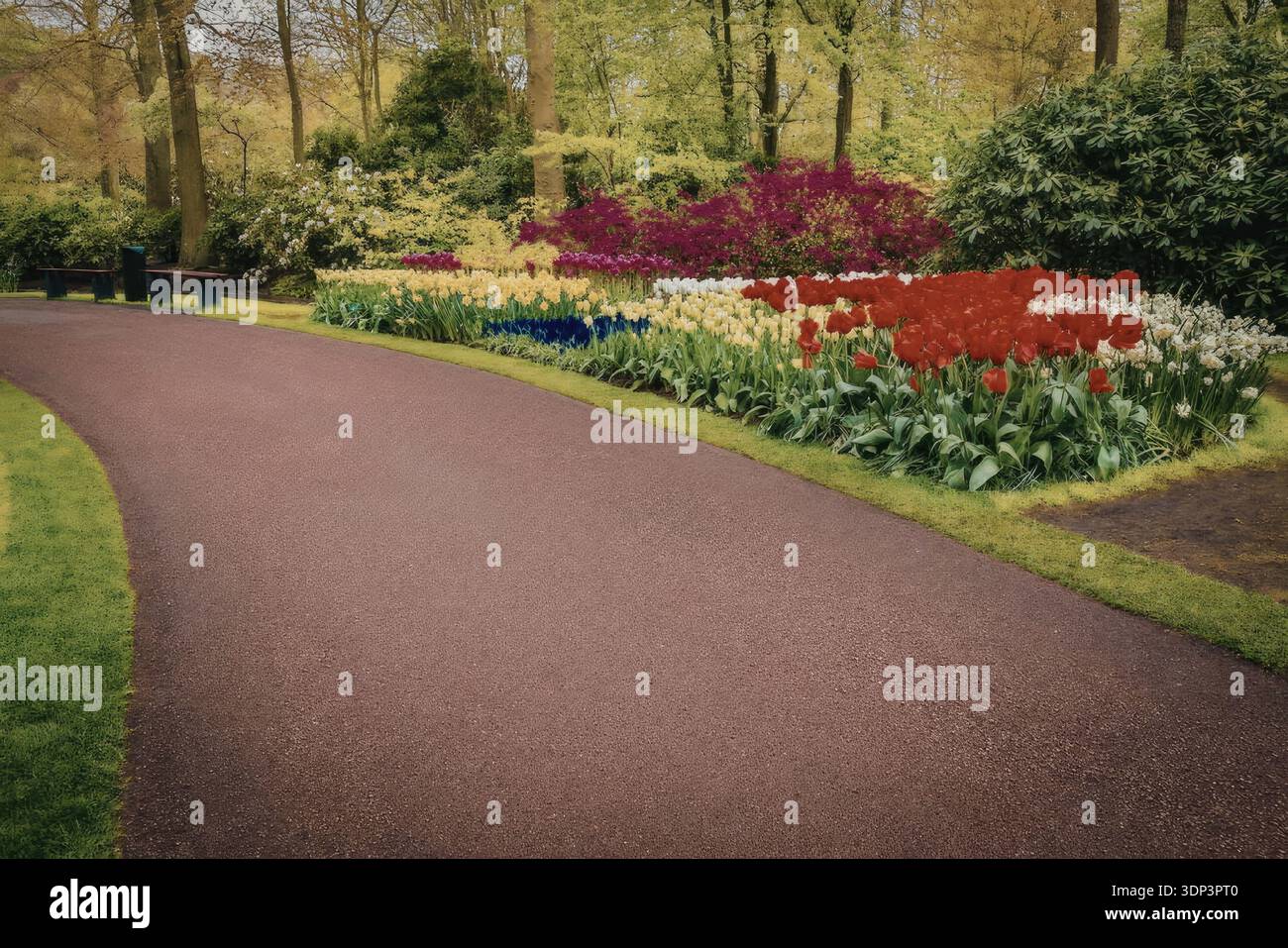 A serene garden pathway lined with vibrant flowers and lush greenery ...