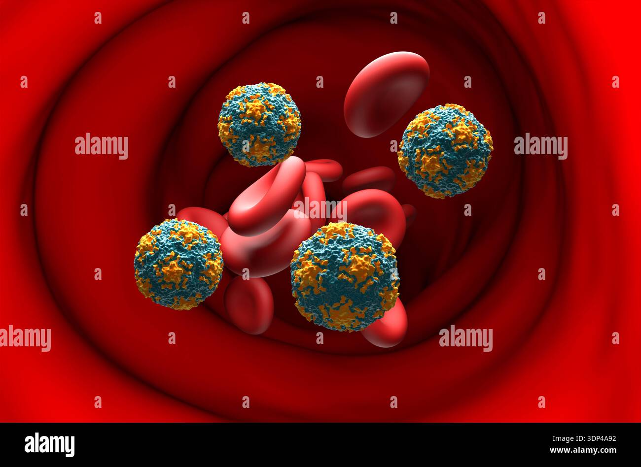 Human Rhinovirus B14 - section view 3d illustration Stock Photo - Alamy