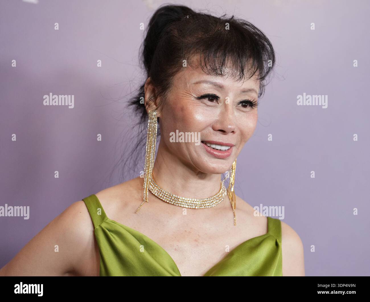 Michell Liu Michelle Liu at the 28th Costume Designers Guild Awards held at The ...