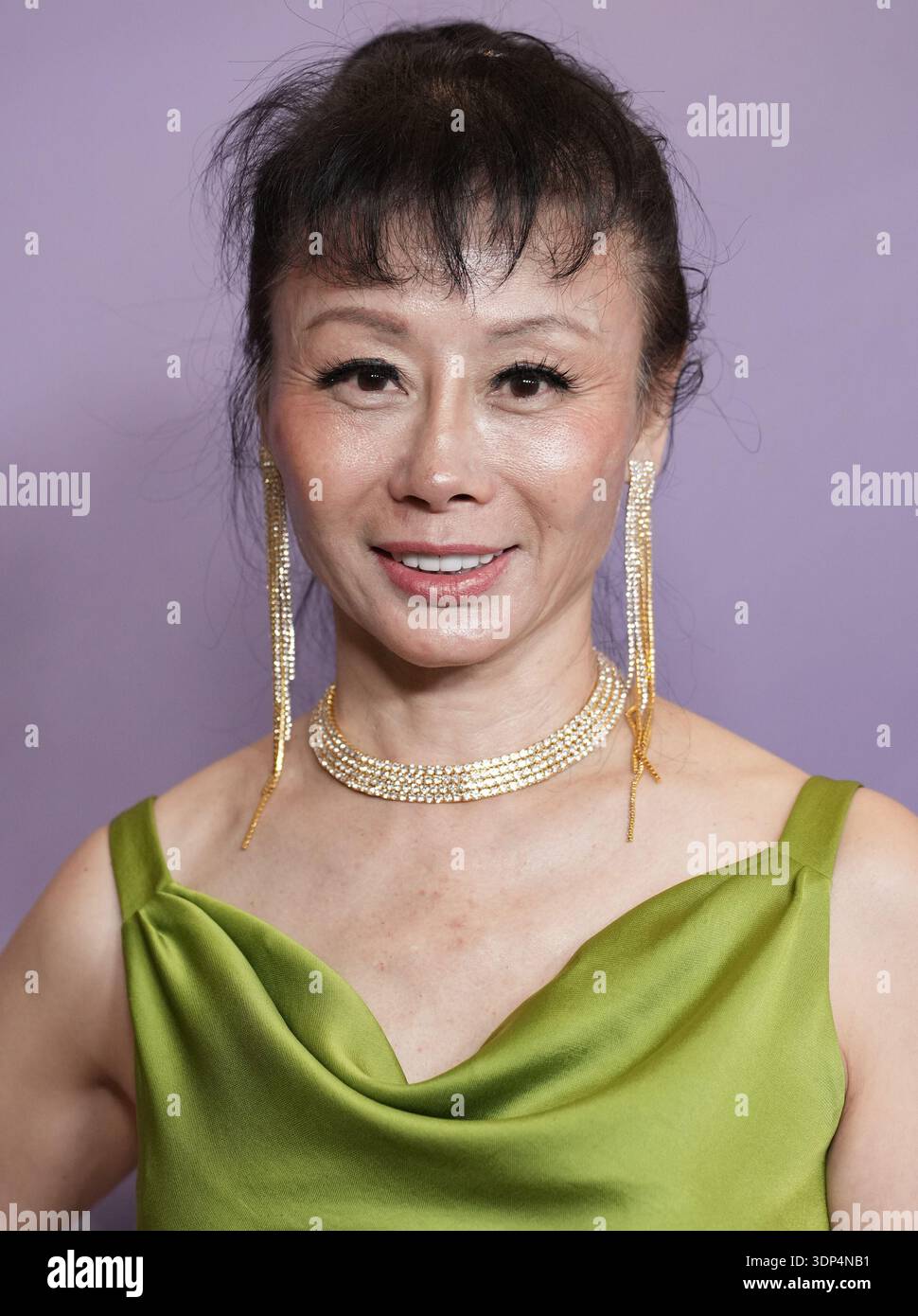 Michell Liu Michelle Liu at the 28th Costume Designers Guild Awards held at The ...