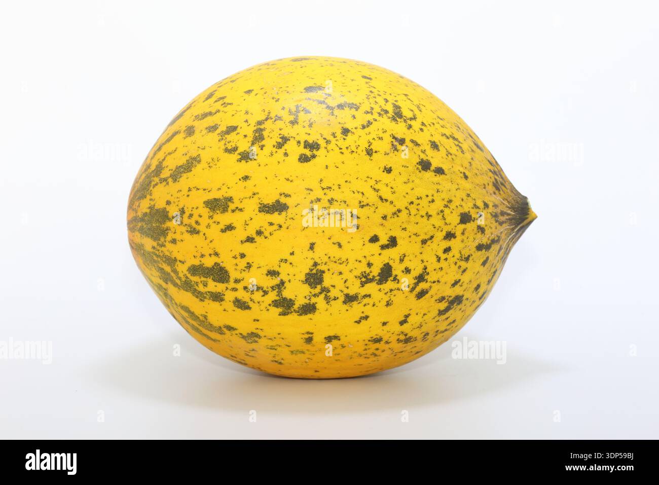 yellow honey melon isolated on white background Stock Photo