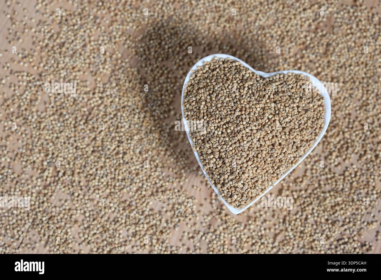 quinoa (Chenopodium quinoa) seeds that is grown for its tiny edible seeds. Stock Photo