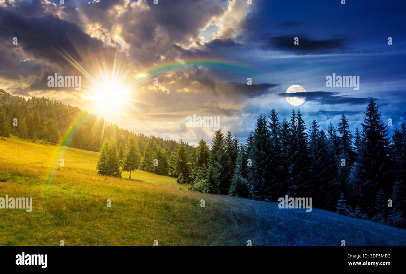 gradual slope of the mountain range with coniferous forest. day and night time change concept. remote countryside landscape with spruce trees on the g Stock Photo