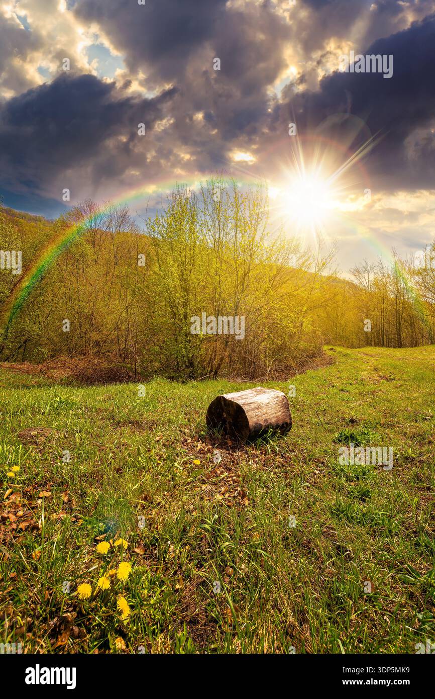 mountain landscape with green grass on a forest glade in spring at sunset. beautiful nature scenery with beech trees under blue sky in evening light. Stock Photo