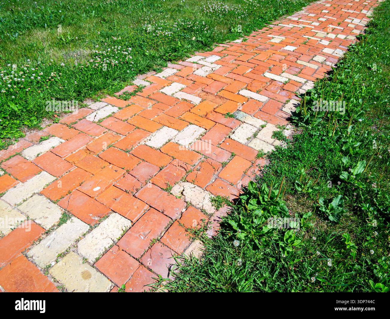 Brick path garden hi-res stock photography and images - Alamy