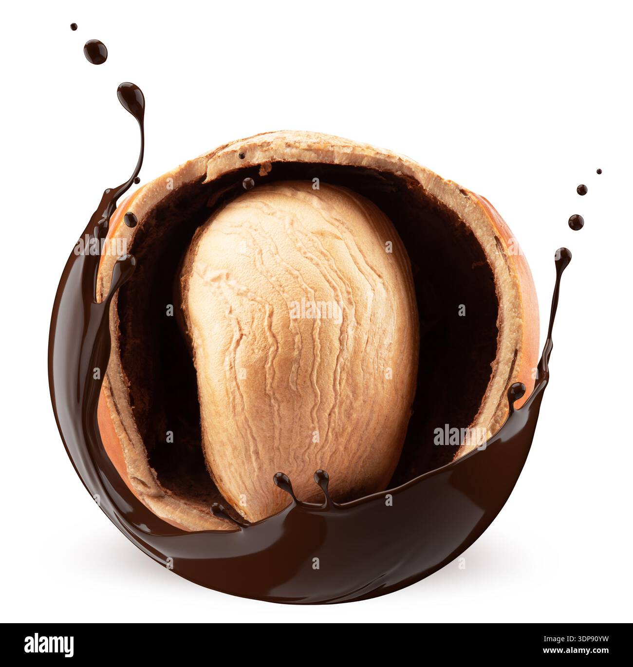 Hazelnuts with chocolate splash on white background. Stock Photo