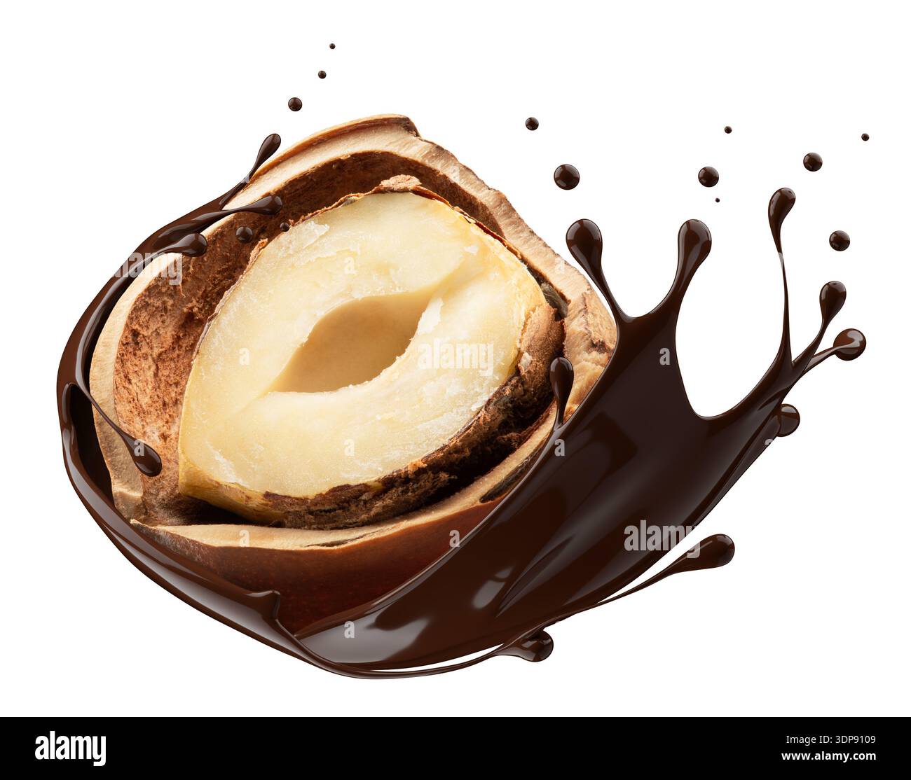 Hazelnuts with chocolate splash on white background. Stock Photo