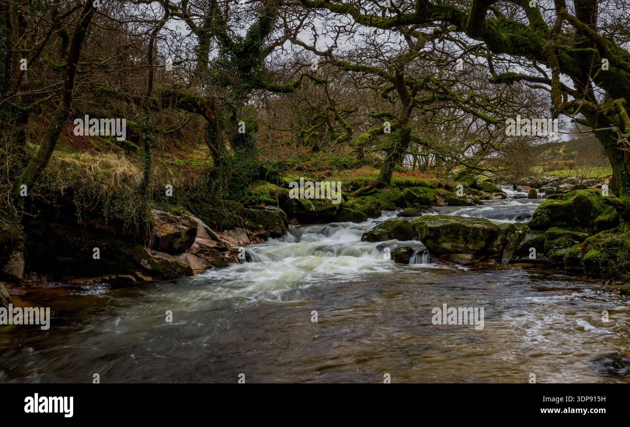 Rivecor Plm River Plym at Cadover bridge on Dartmoor, Devon, UK Stock Photo - Alamy