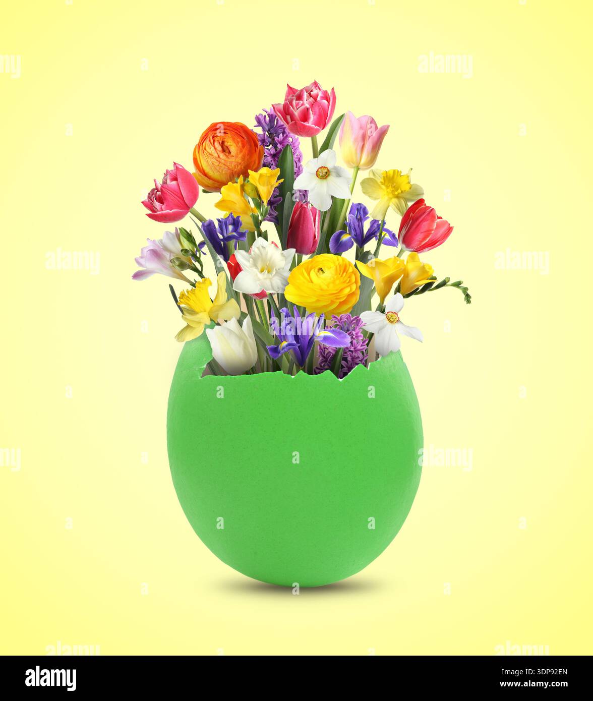 Easter card with spring flowers in broken eggshell on beige background Stock Photo