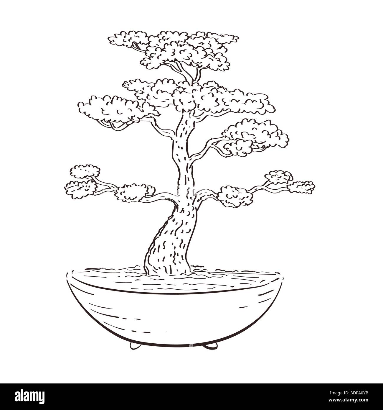 Drawing sketch style illustration of a bonsai tree in pot on isolated  background done in black and white line art Stock Photo - Alamy