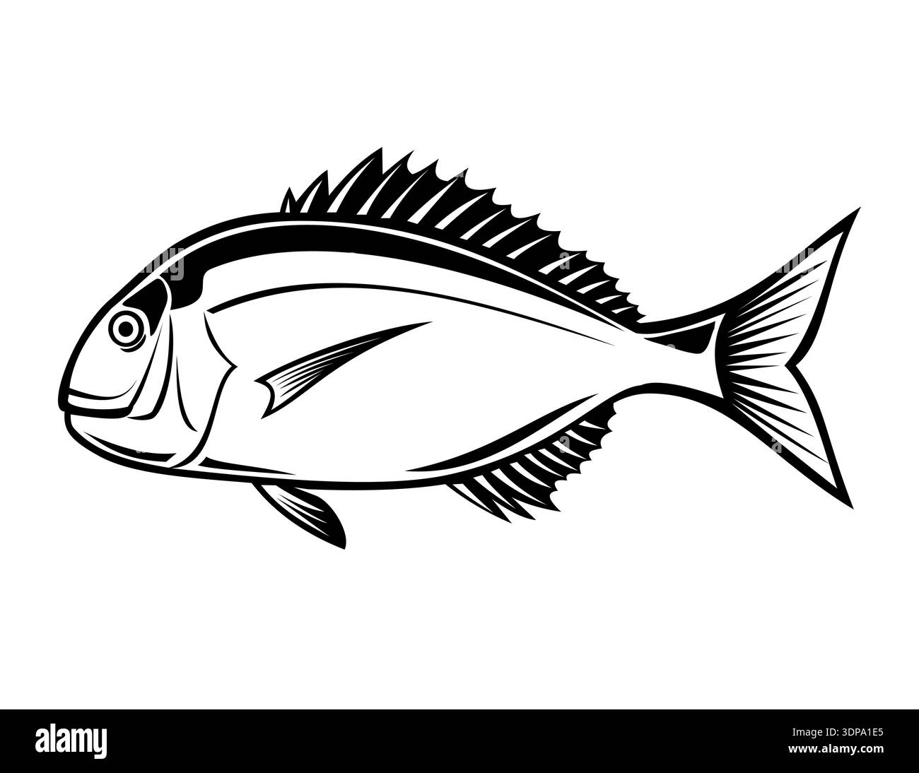 Stencil illustration of a Pagrus major, red seabream, red pargo, red ...
