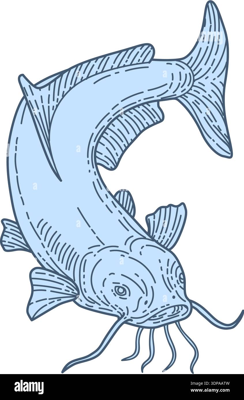 Mono line style illustration of a ray-finned fish catfish also known as ...
