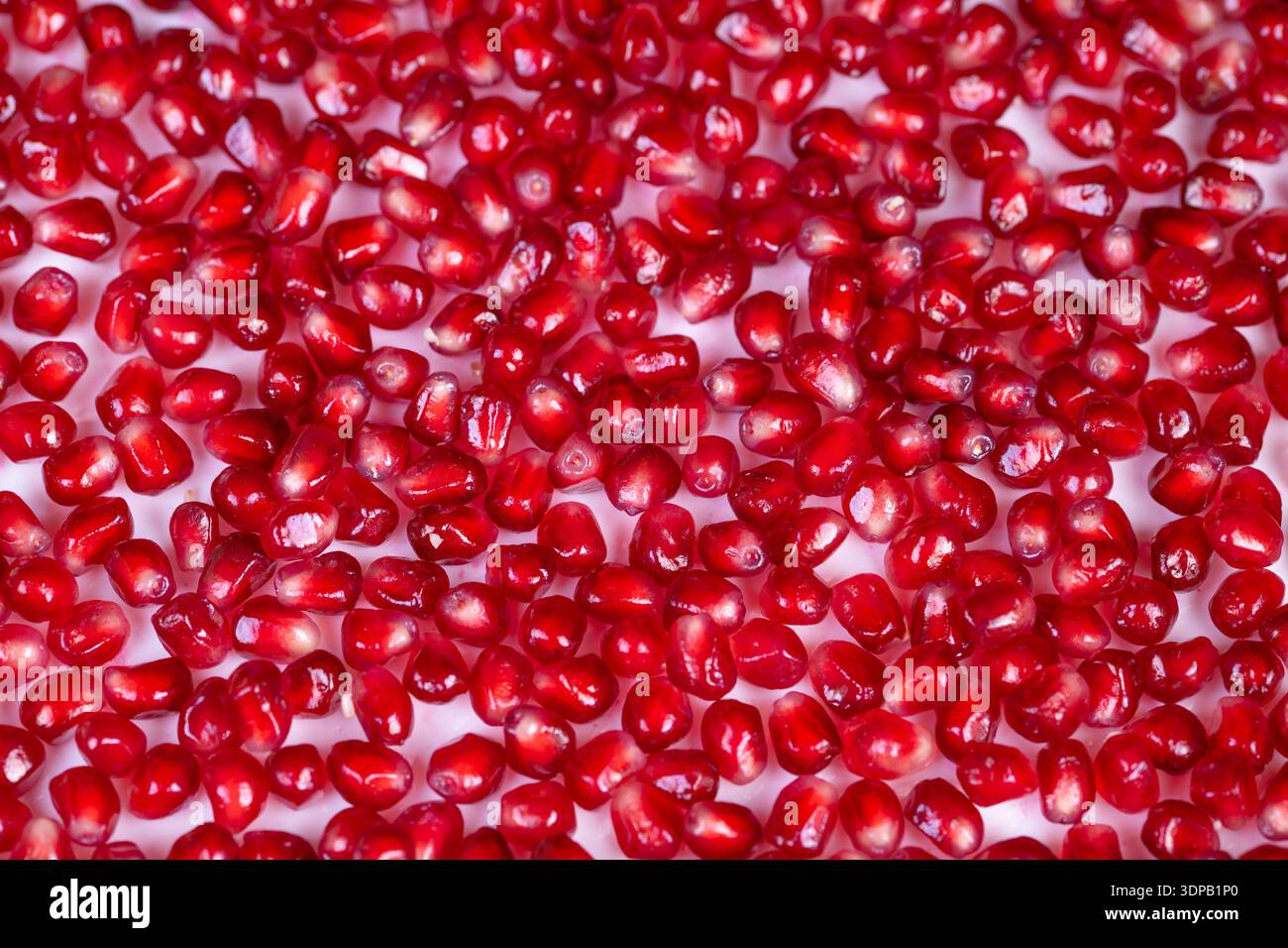 Bright pomegranate seeds form abstract pattern, repetitive ruby texture with glossy reflections, versatile seamless background for design, textile, an Stock Photo