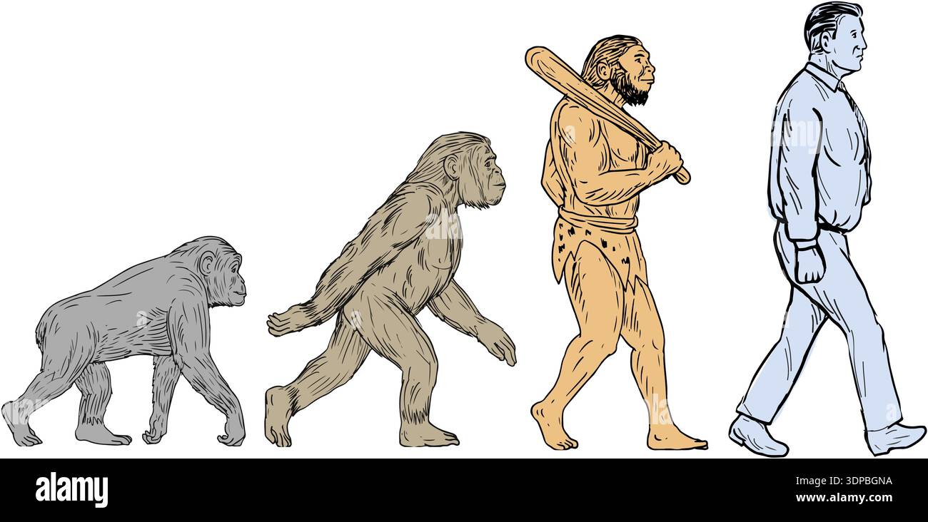 Drawing sketch style illustration showing human evolution from primate ...