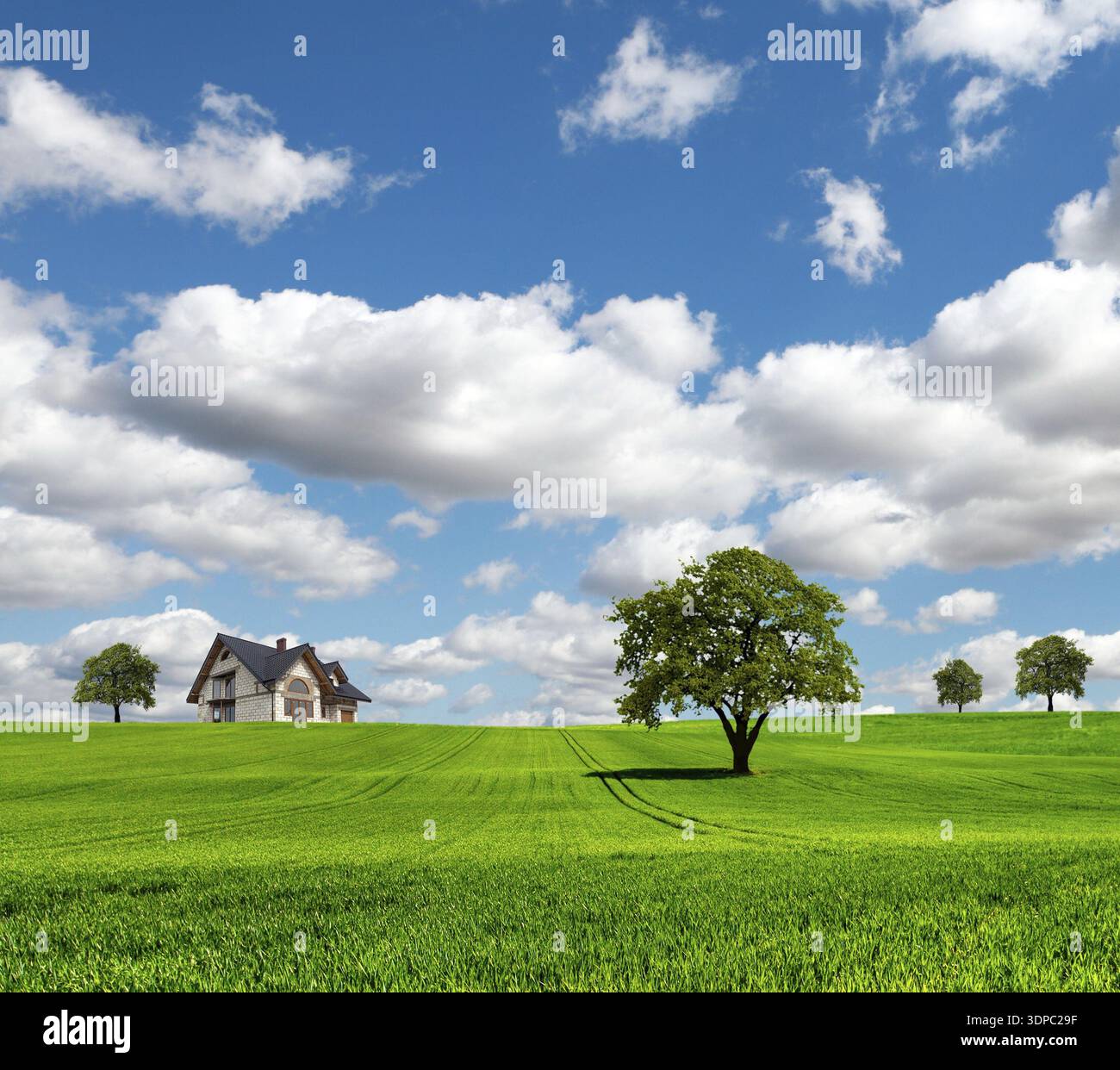EcoRegion Stock Photo