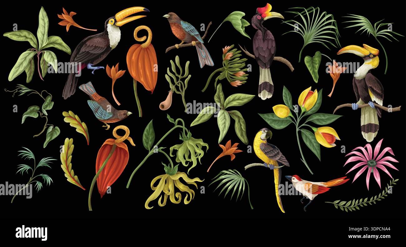 Tropical floral birds elements isolated with exotic jungle botanical ...