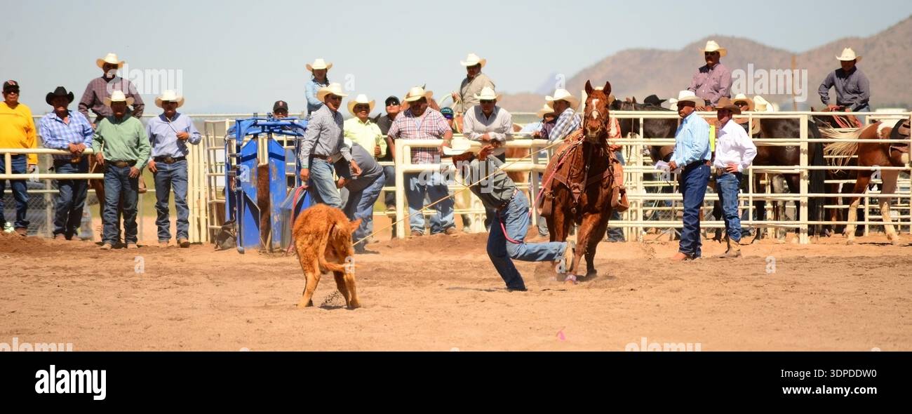 Reservation Rodeo Rodeo Cowboy competition Sacaton, Arizona United States Gila River ...