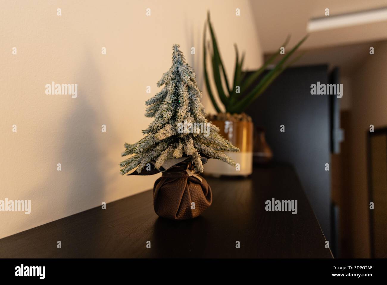 Mini Snowy Pine Tree Decoration Shelf Stock Photo
