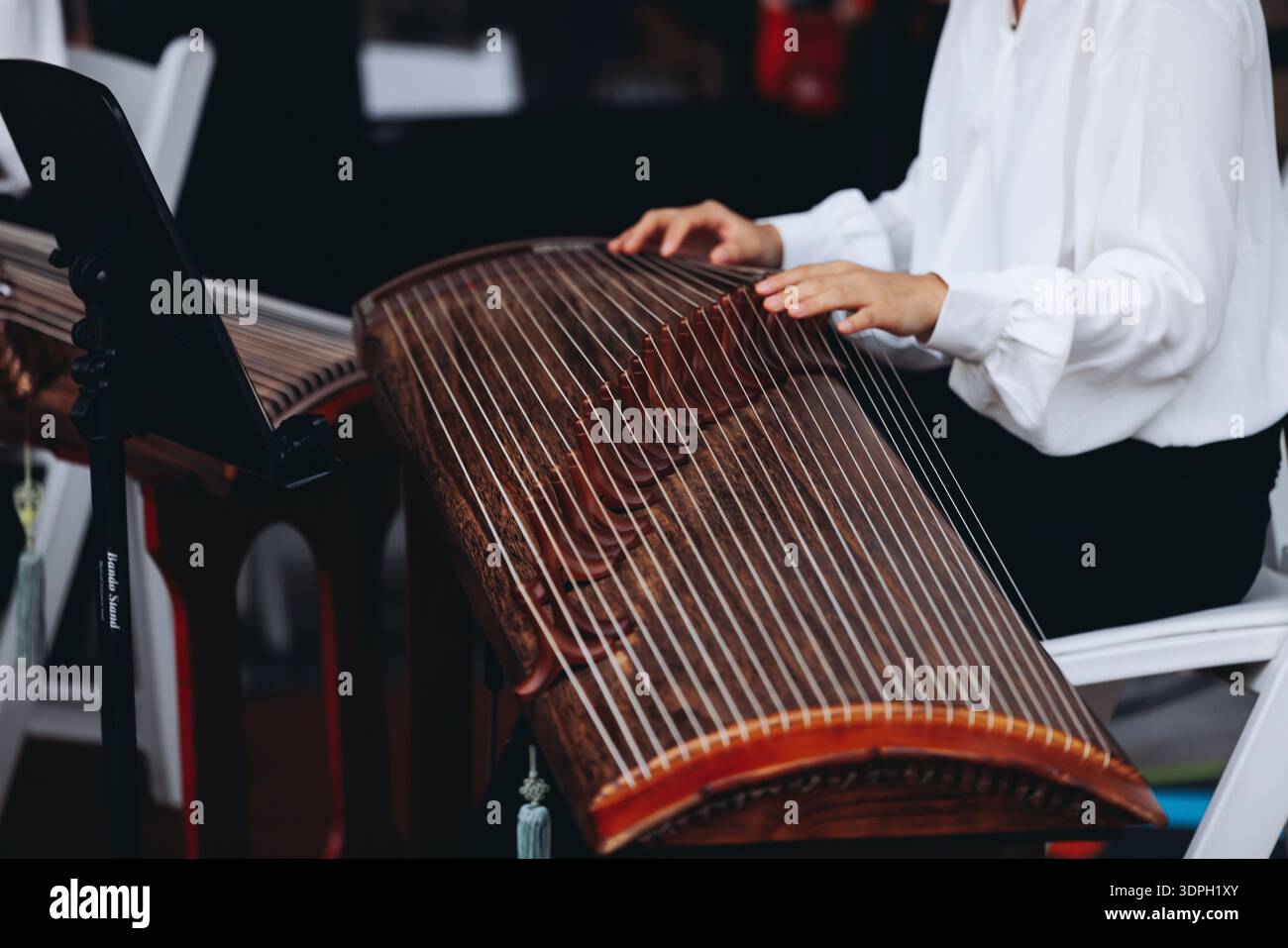 Kayagum String Instruments Traditional Korean folk musical instrument Gayageum, female orchestra ...