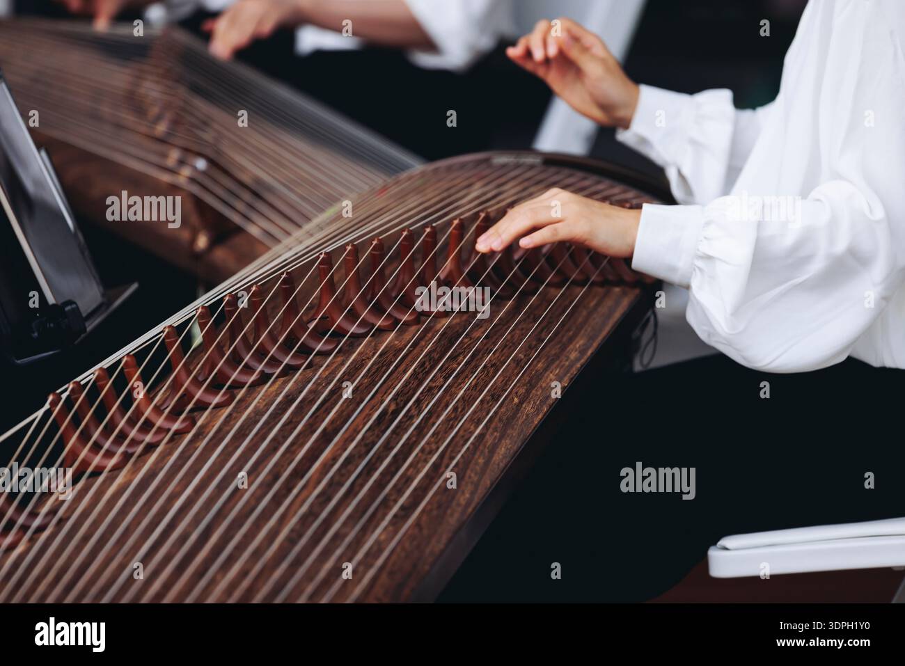 Kayagum String Instruments Traditional Korean folk musical instrument Gayageum, female orchestra ...