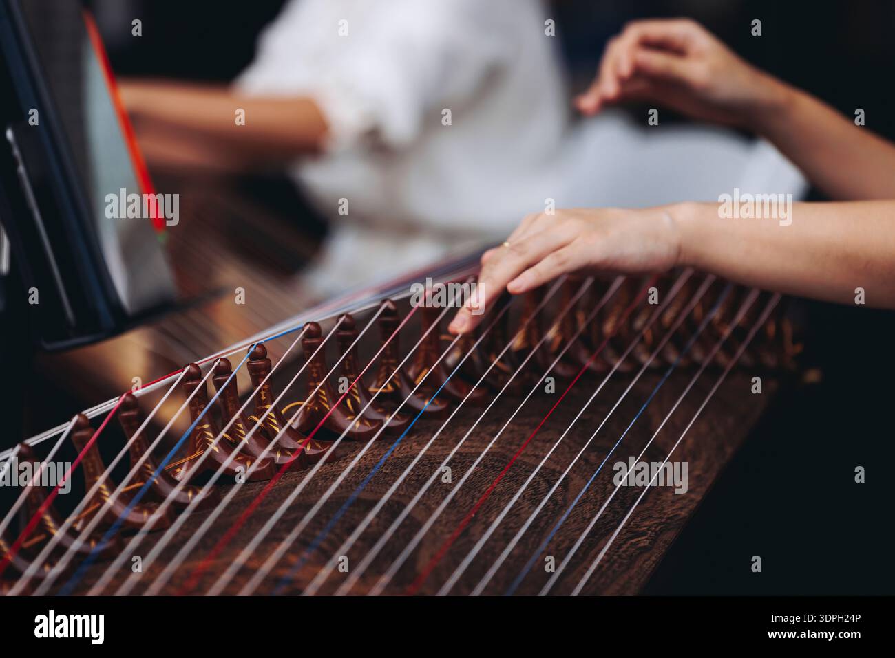 Horea Instrument Traditional Korean folk musical instrument Gayageum, female orchestra ...