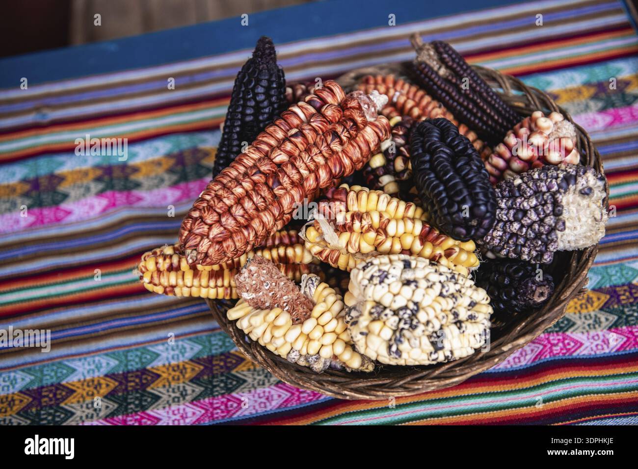 Different types of corn in blue, red, yellow and purple, Peru Stock ...