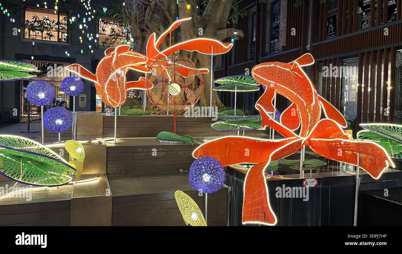 Illuminated goldfish lanterns with lotus leaves at Yongqingfang in Guangzhou, China, during Chinese New Year celebrations at night. - Smartphone Captured Stock Image