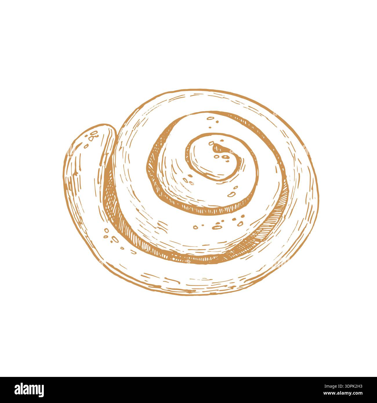 Cinnamon bun hand-drawn vector illustration. Sketch of a sweet pastry ...