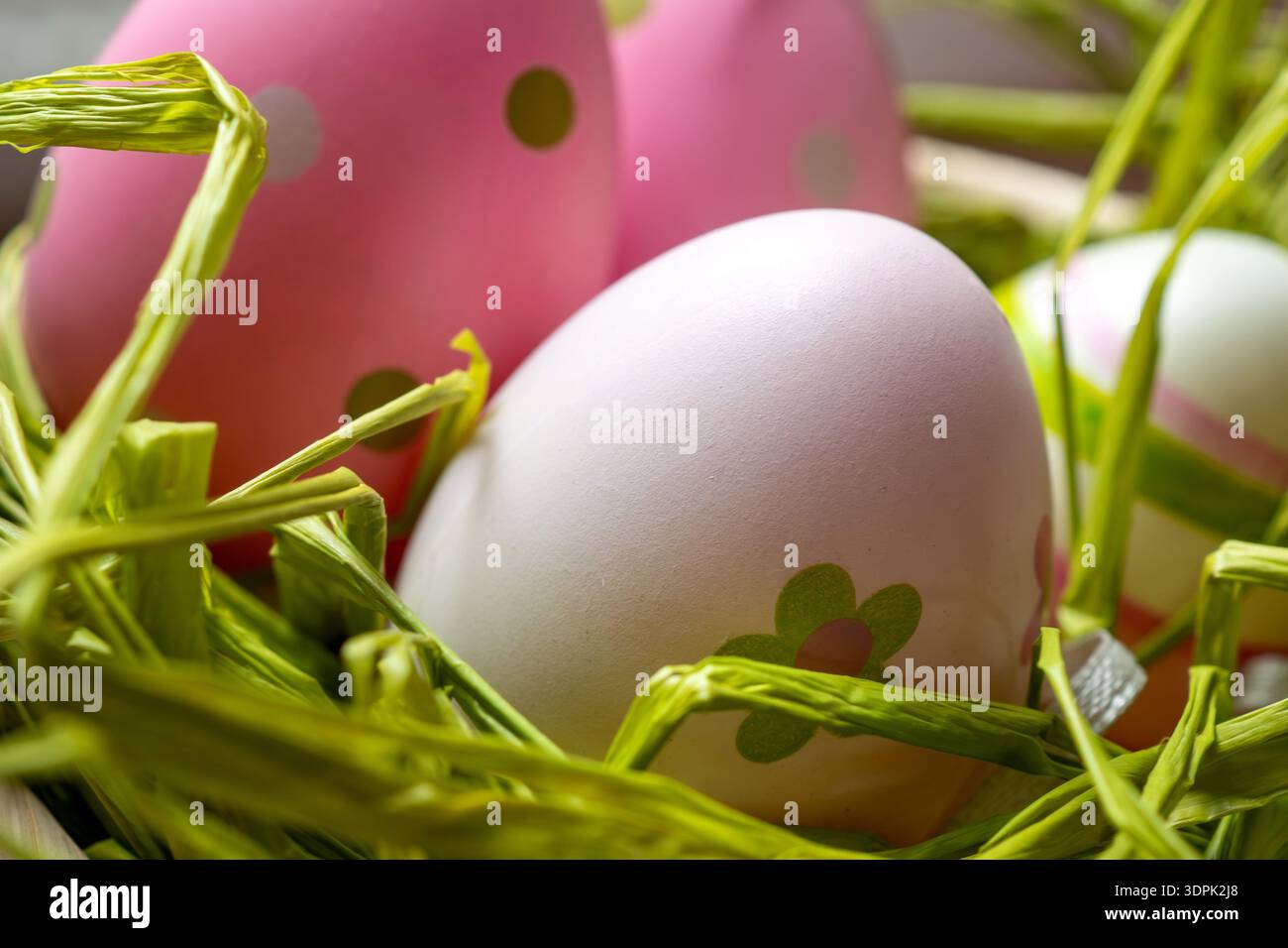 Studio Lighting Highlights Pink And White Easter Eggs In Nest Stock Photo