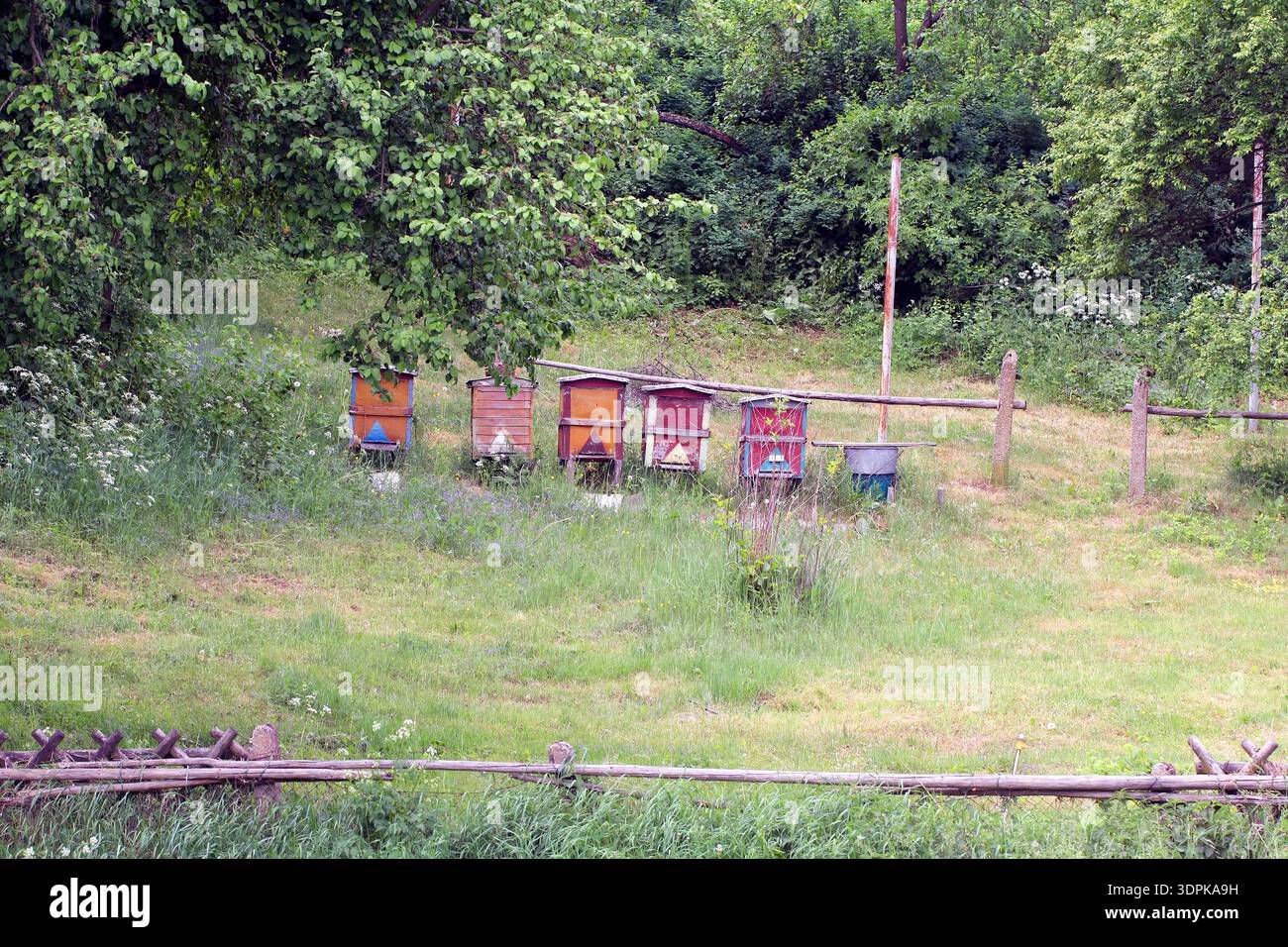 Apiary. Beehives in various colors placed near trees and farmland. Bees pollinating flowers and producing honey. Stock Photo