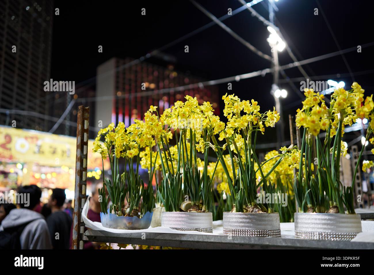 2026 lunar new year hi-res stock photography and images - Alamy