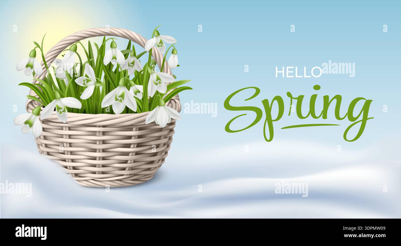 Spring Snowdrops in Wicker Basket Stock Vector