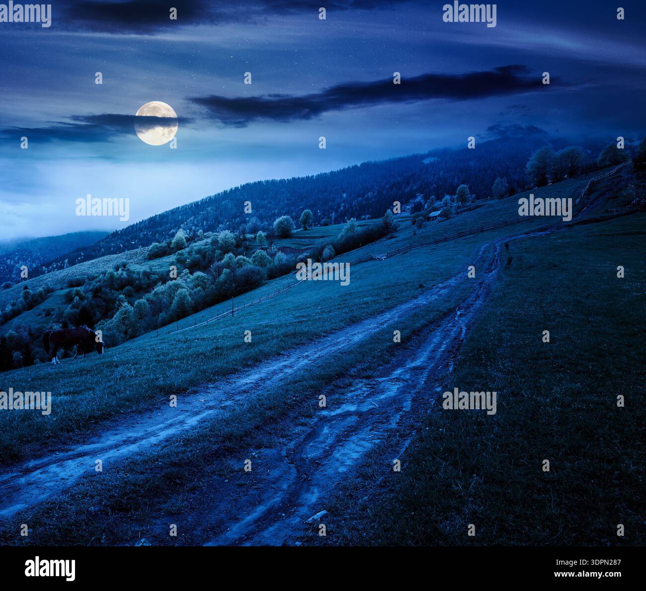 dirt road winding through green rolling hills at night. rural landscape in mountain range in full moon light. countryside vista under dark sky in spri Stock Photo