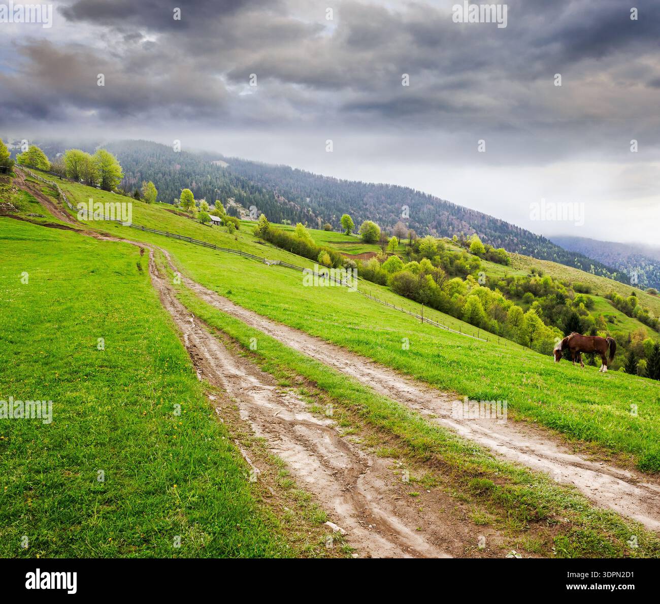 dirt road winding through green rolling hills. rural landscape in carpathian mountain range of ukraine. countryside vista under overcast sky in spring Stock Photo