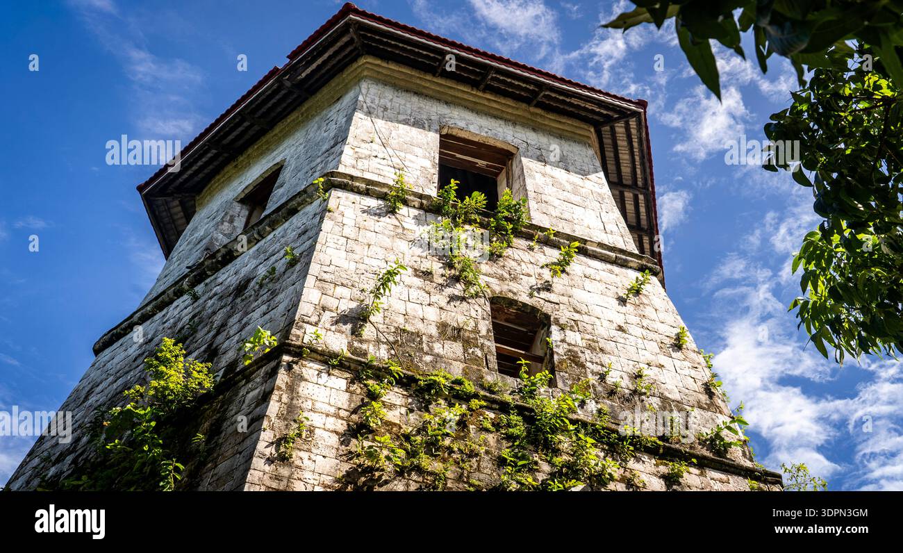 Low-angle view of an old stone watchtower covered with vines under ...