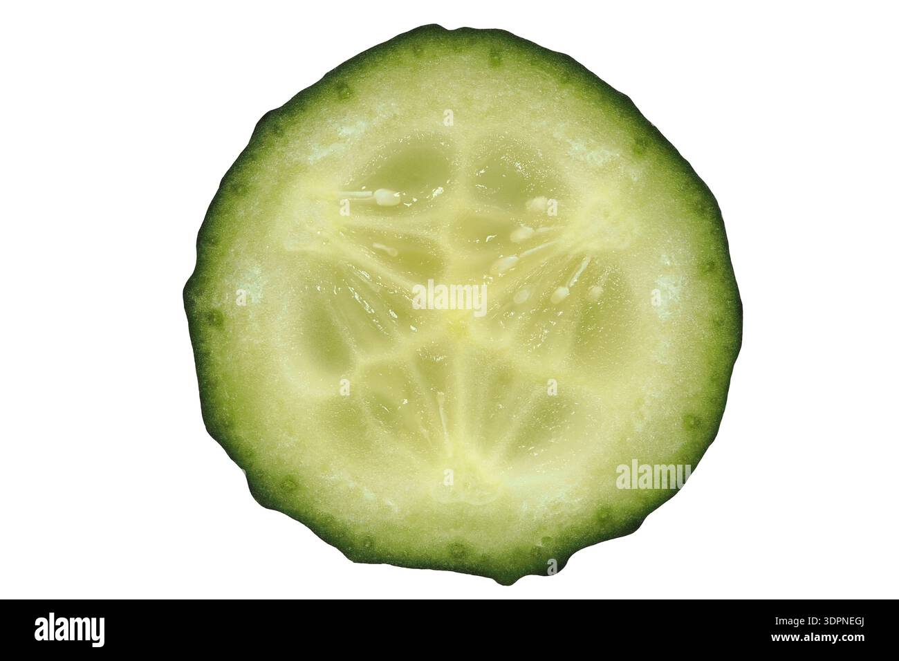 Cucumber slice isolated on white background Stock Photo