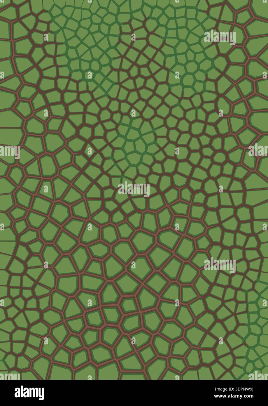 Abstract background voronoi cell pattern Stock Vector Images - Alamy