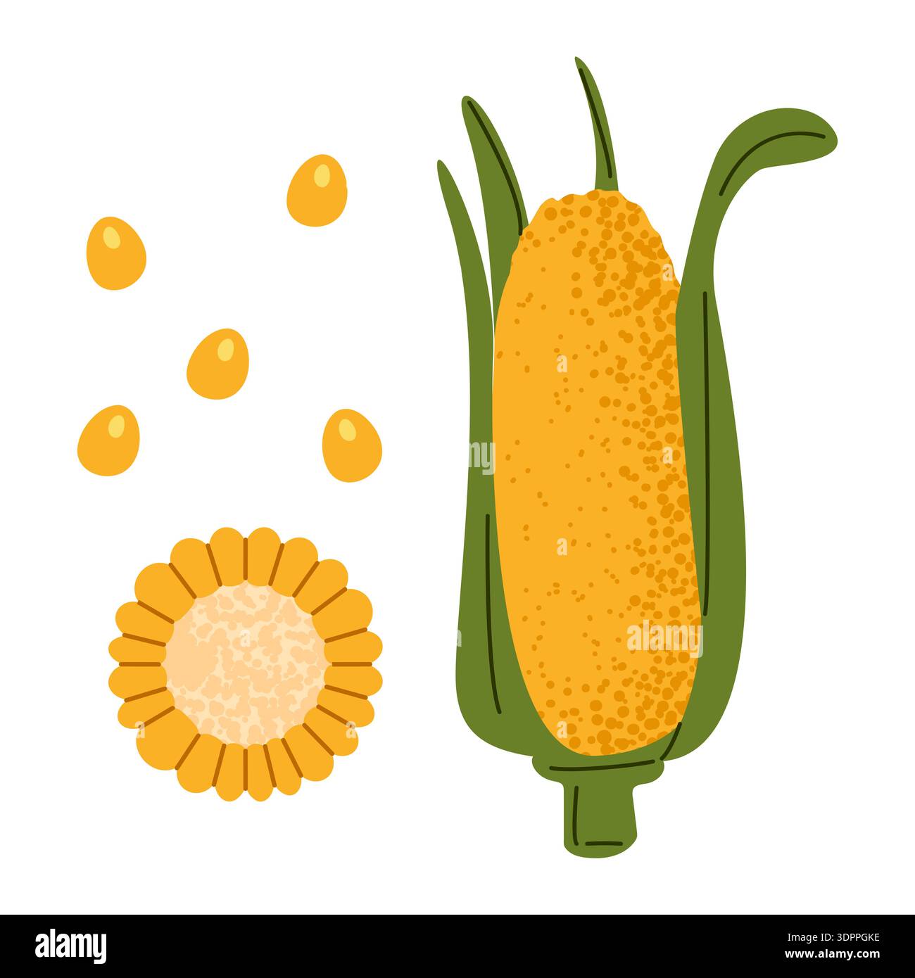 Corn leaves detail Stock Vector Images - Alamy