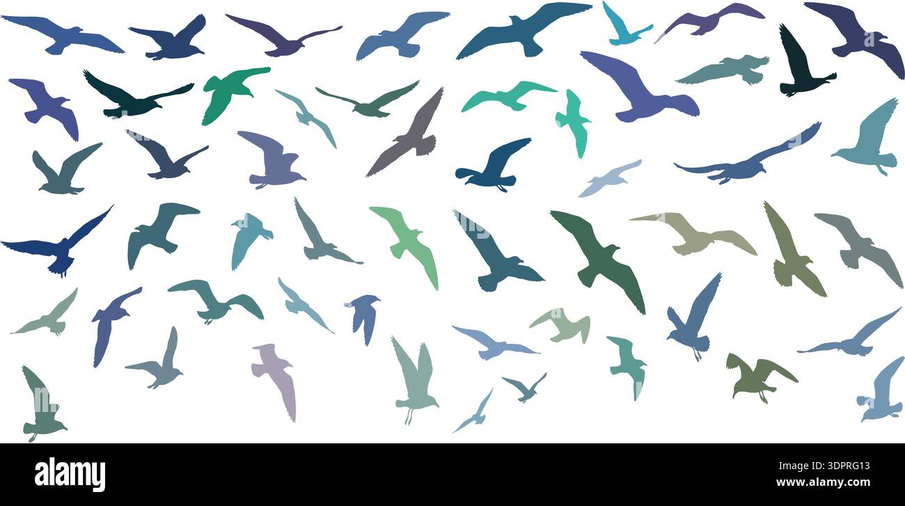 Flying Birds Silhouette Set – Editable Seagull and Wild Bird Sky Pattern Vector Collection Stock Vector