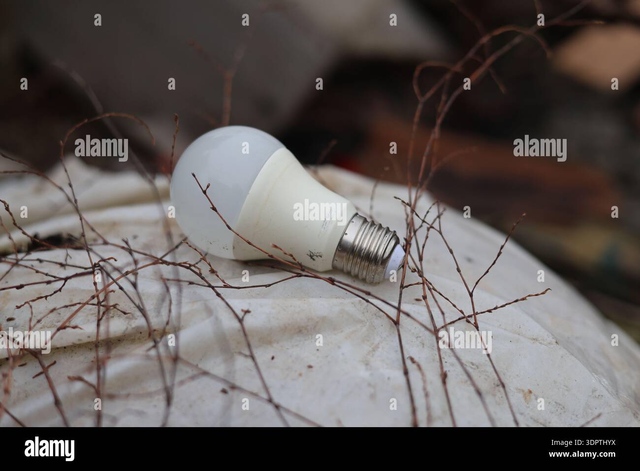 Electric led economy light bulb concept shot Stock Photo - Alamy