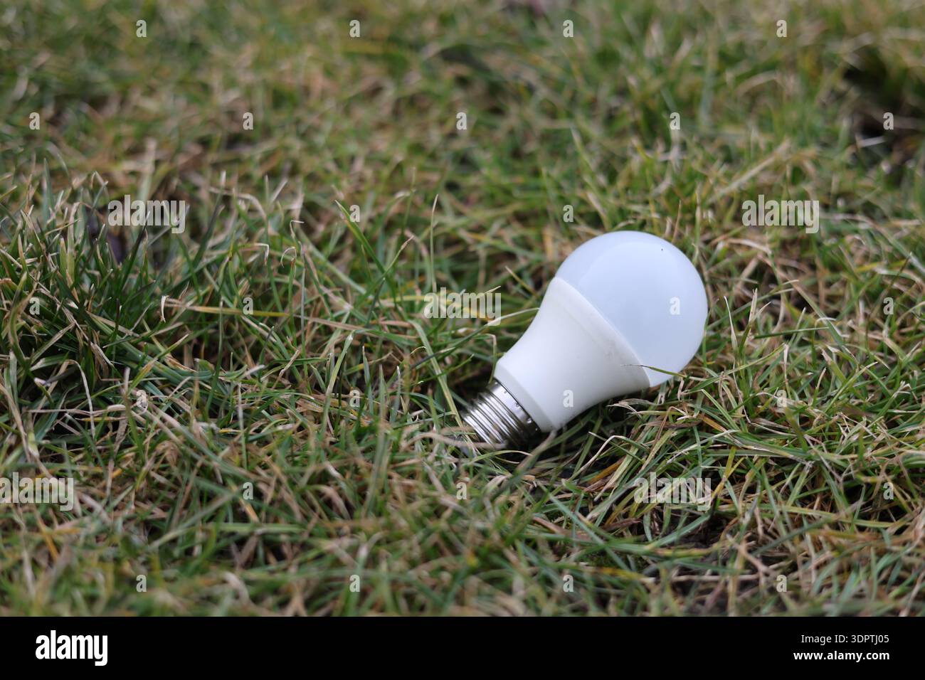 Electric led economy light bulb concept shot Stock Photo - Alamy