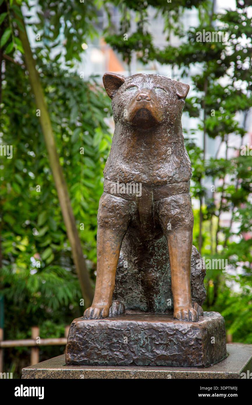 Hachiko dog statue shibuya tokyo japan hi-res stock photography