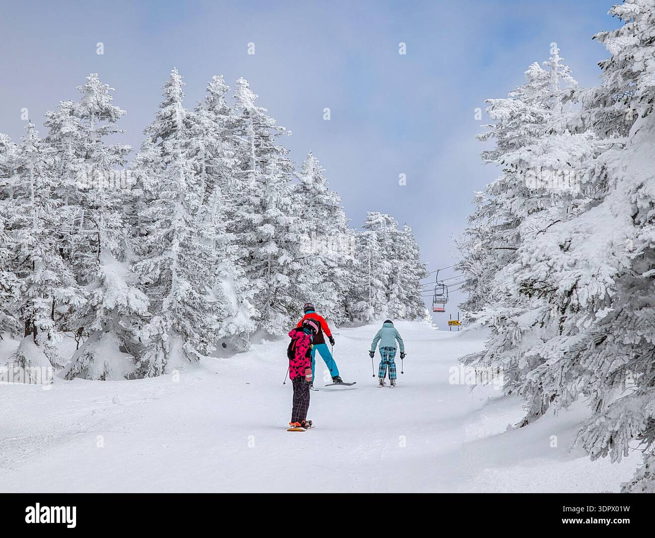 Winter landscape with people skiing and snowboarding between heavy snow ...