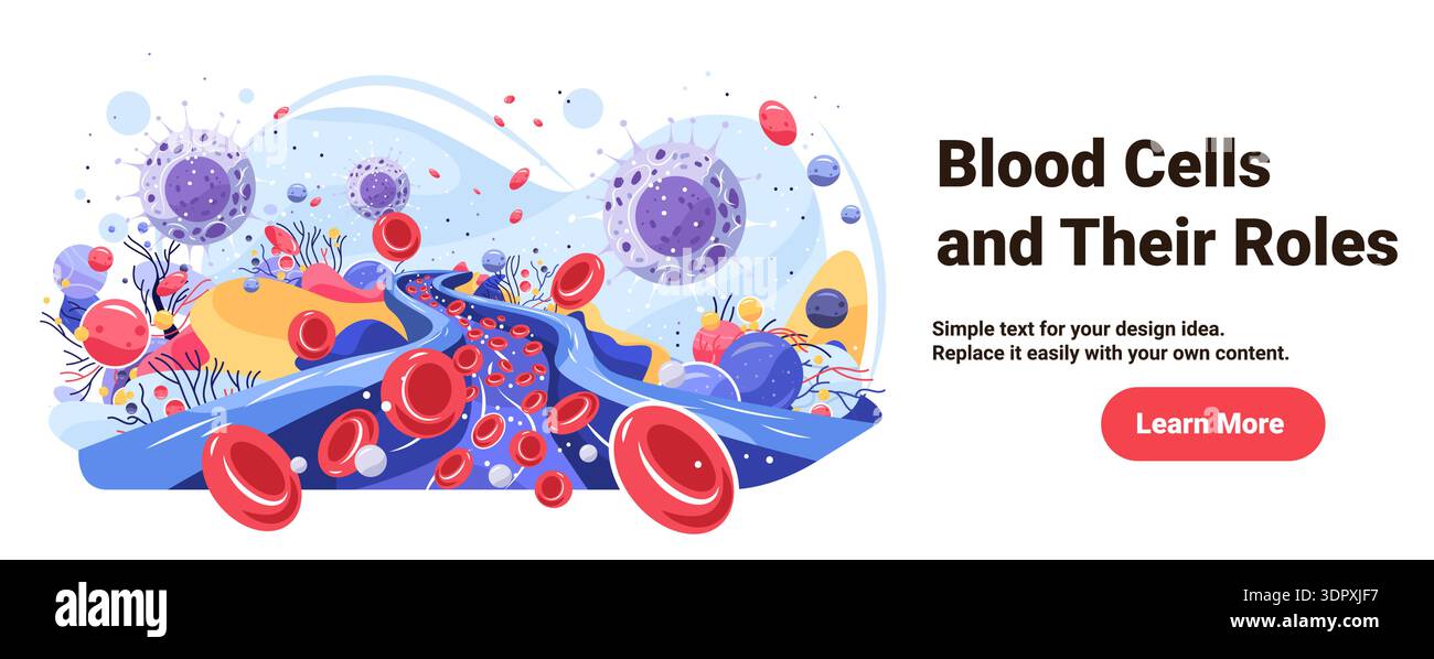 Blood cells virus bacteria anatomy bloodstream medical diagram showing ...