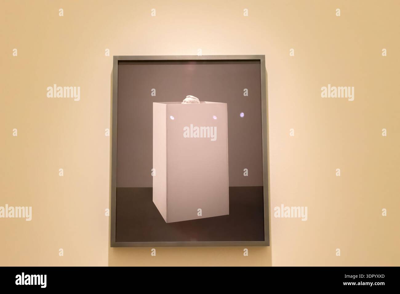 La Visita Di Stato Photo Of Erwin Olaf At The Stedelijk Museum At ...