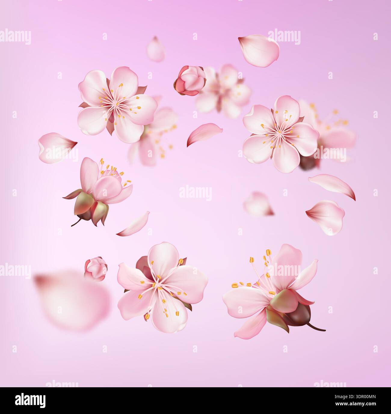 Sakura Blossom and Petal Spring Composition Stock Vector